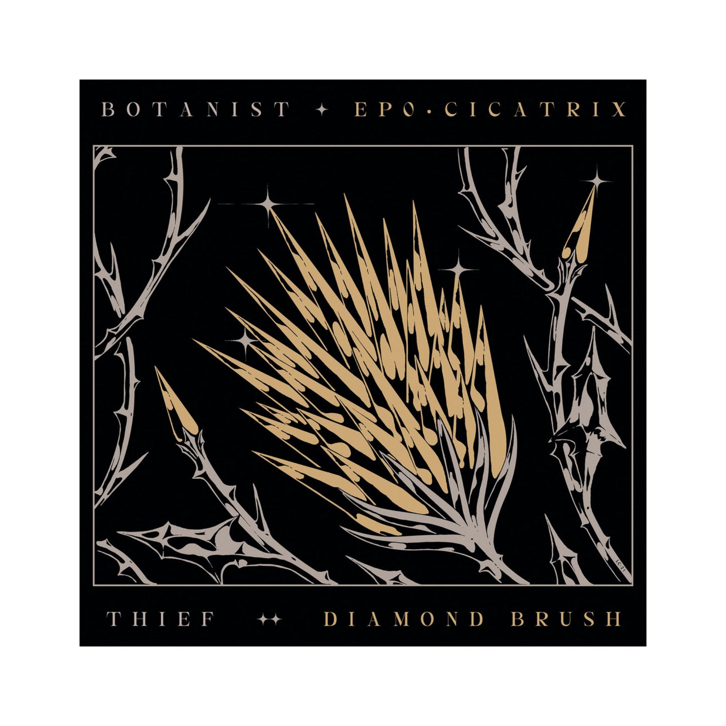 Botanist / Thief - EP0 Cicatrix / Diamond Brush split LP (color vinyl)