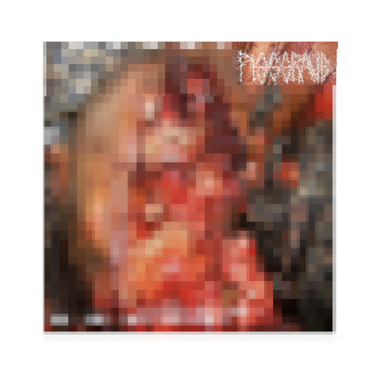 Pissgrave - Posthumous Humiliation LP (black vinyl)