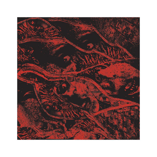 Vermin Womb - Retaliation LP (color vinyl)