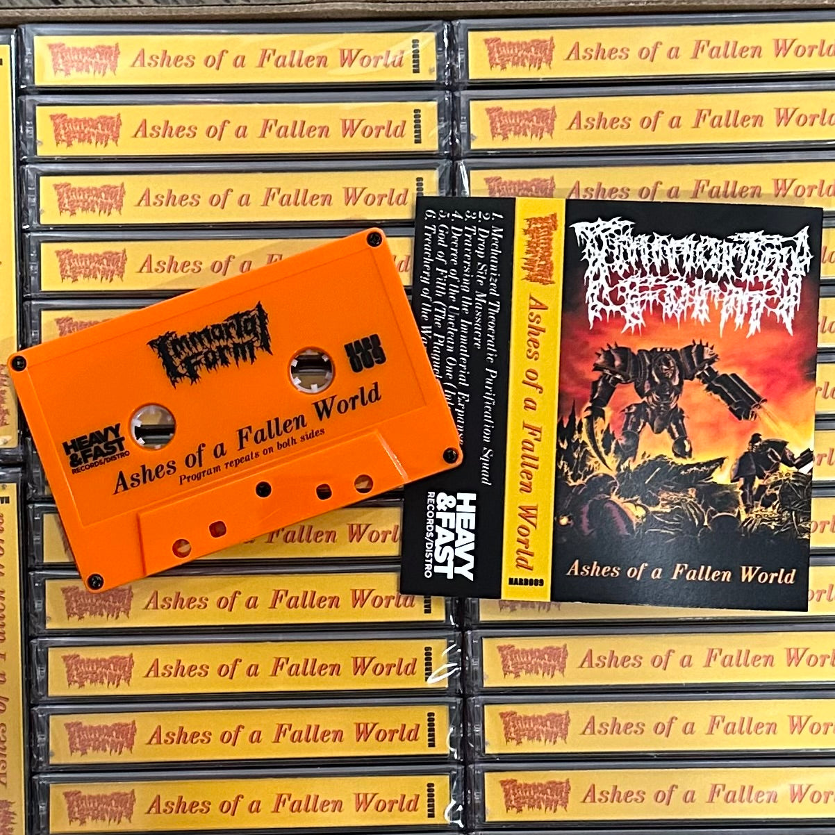 Immortal Form - Ashes of a Fallen World cassette tape