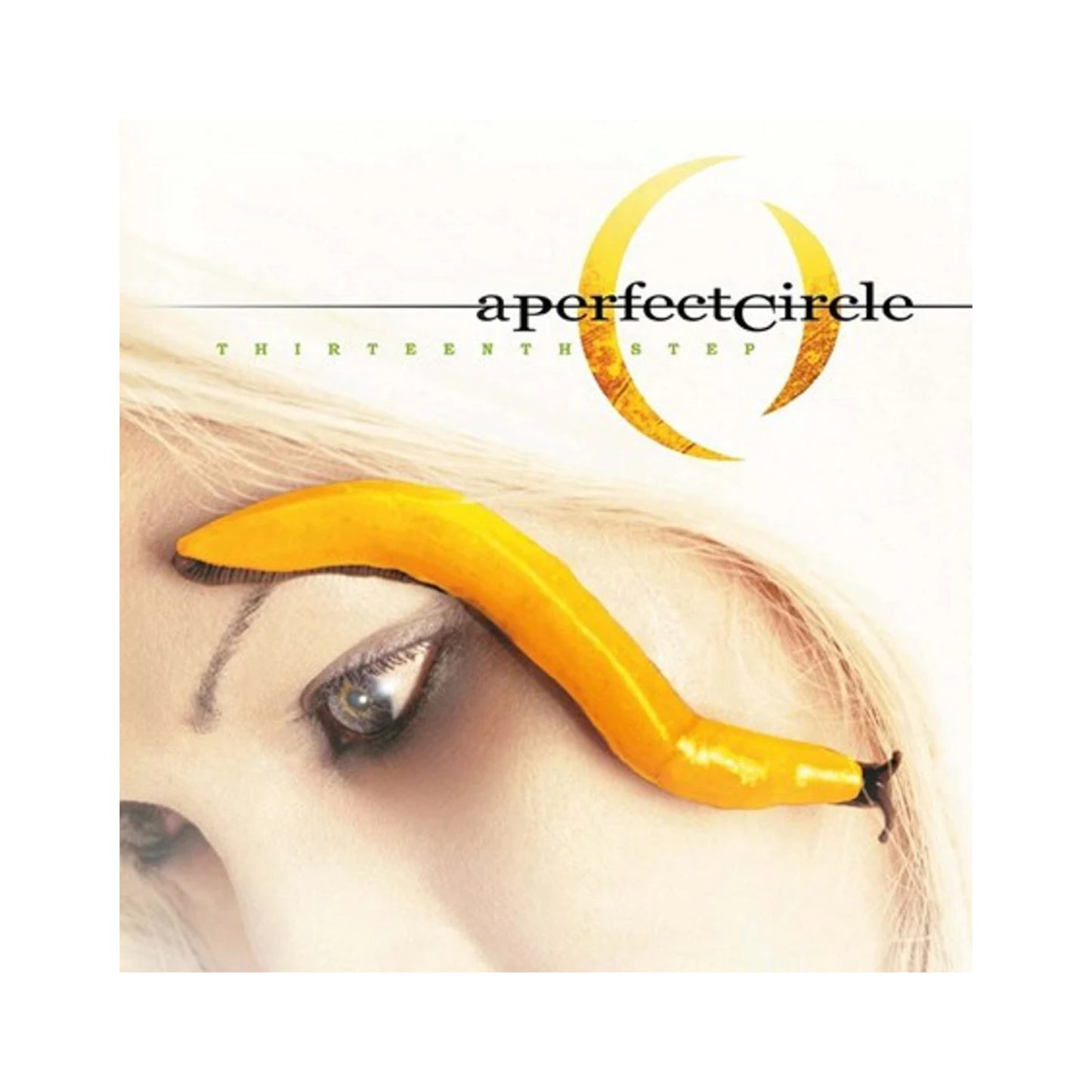 A Perfect Circle - Thirteenth Step LP (black vinyl)