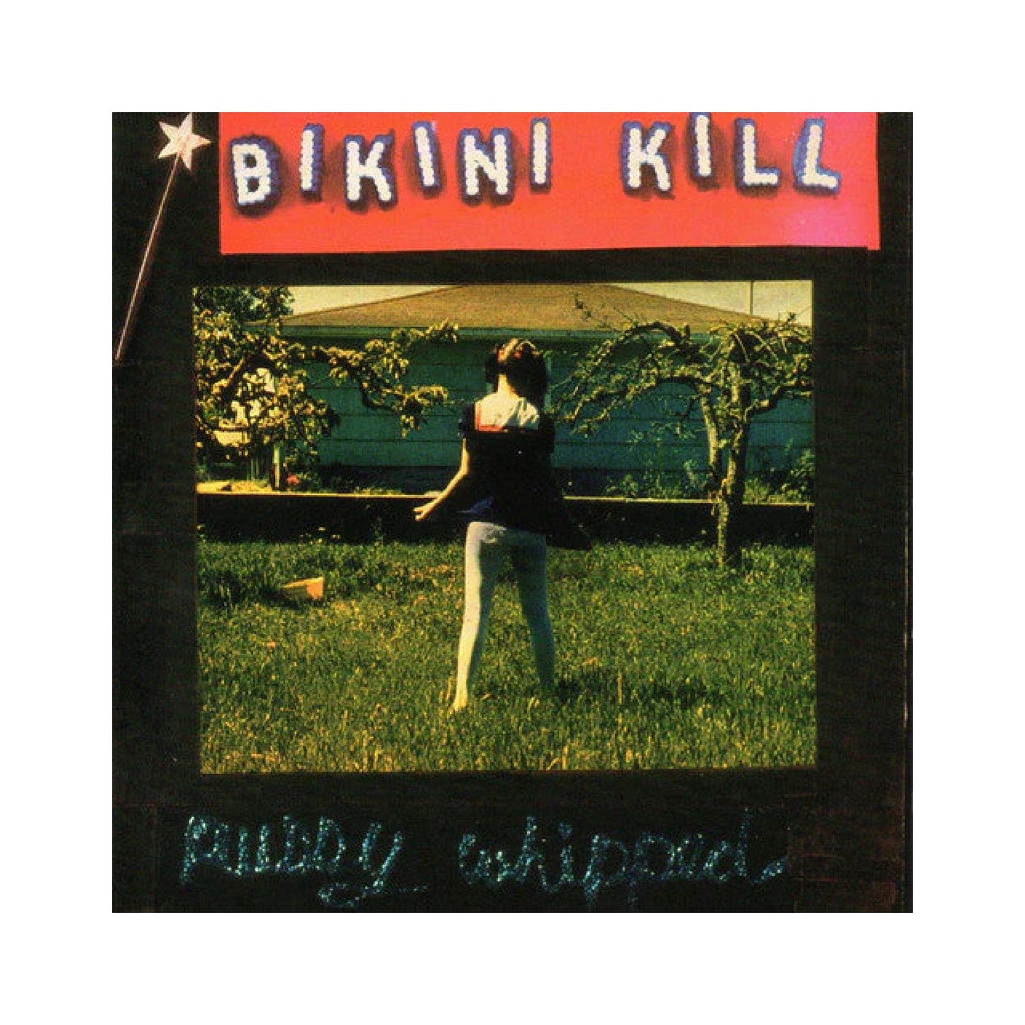 Bikini Kill - Pussy Whipped LP (black vinyl)