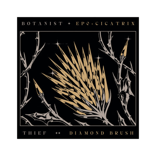 Botanist / Thief - EP0 Cicatrix / Diamond Brush split LP (color vinyl)