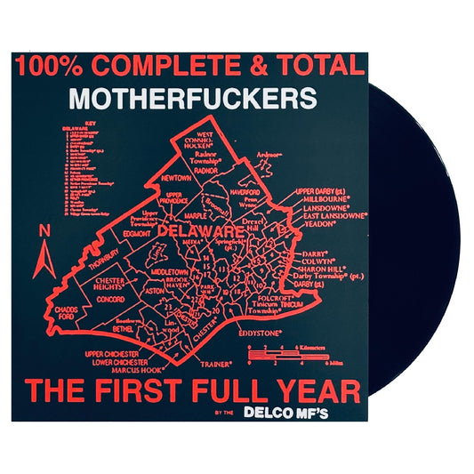Delco MFs - The First Full Year LP 12" (black vinyl)