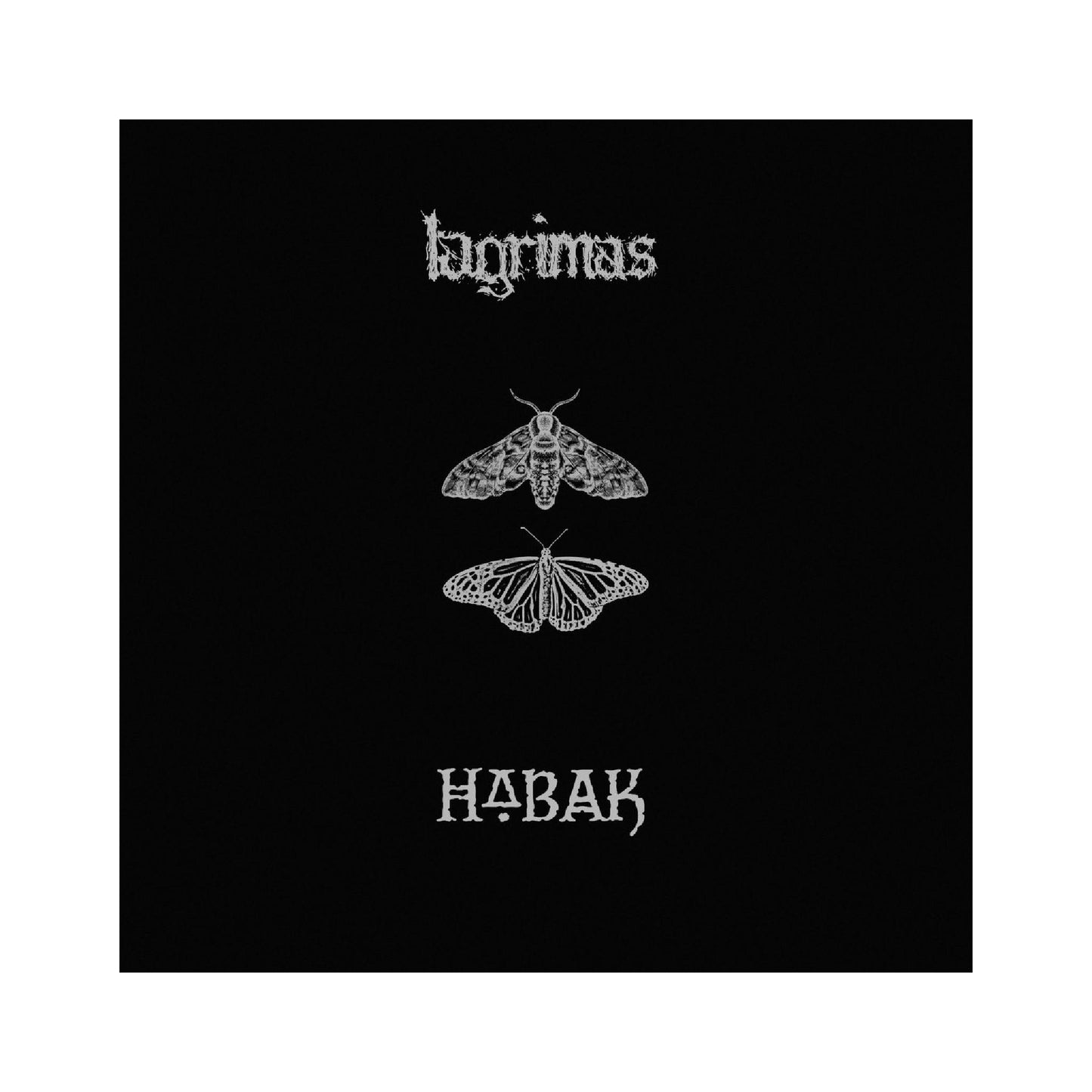 Habak / Lagrimas Split LP (color vinyl)