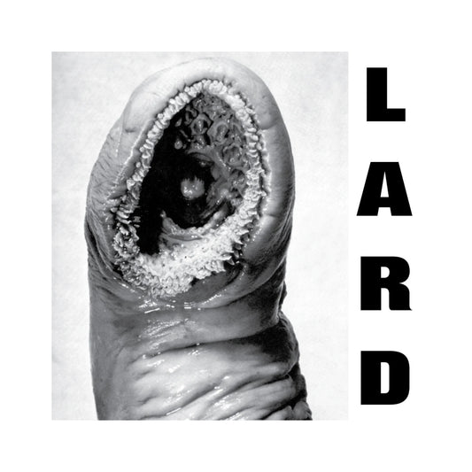Lard - The Power of Lard LP (black vinyl)